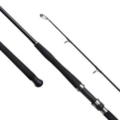 Meervalhengel Madcat Black Allround 2,85m -HENGELS WINKEL 14034 unnamed