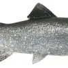 UNI CAT Trout 20cm -HENGELS WINKEL 3nt6obk67mmsvmeotldl2i7dmdcm4tth