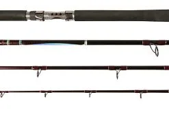 Reishengel Penn Powerstix Pro Boot 2.22m 30/50 Lbs