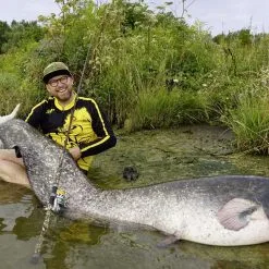 Black Cat Wild Cat'z Spin 2.65m 50-180g -HENGELS WINKEL 7mffaa7smdpyk2747r5g7t6umr26jxnl scaled 1