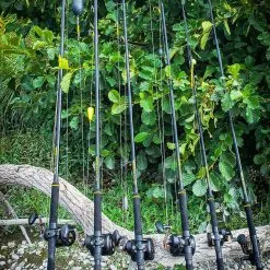 Black Cat Black Passion Boat 240m 600g -HENGELS WINKEL ae6etbm43yjtcv7skipztdqyy64sdw35 2