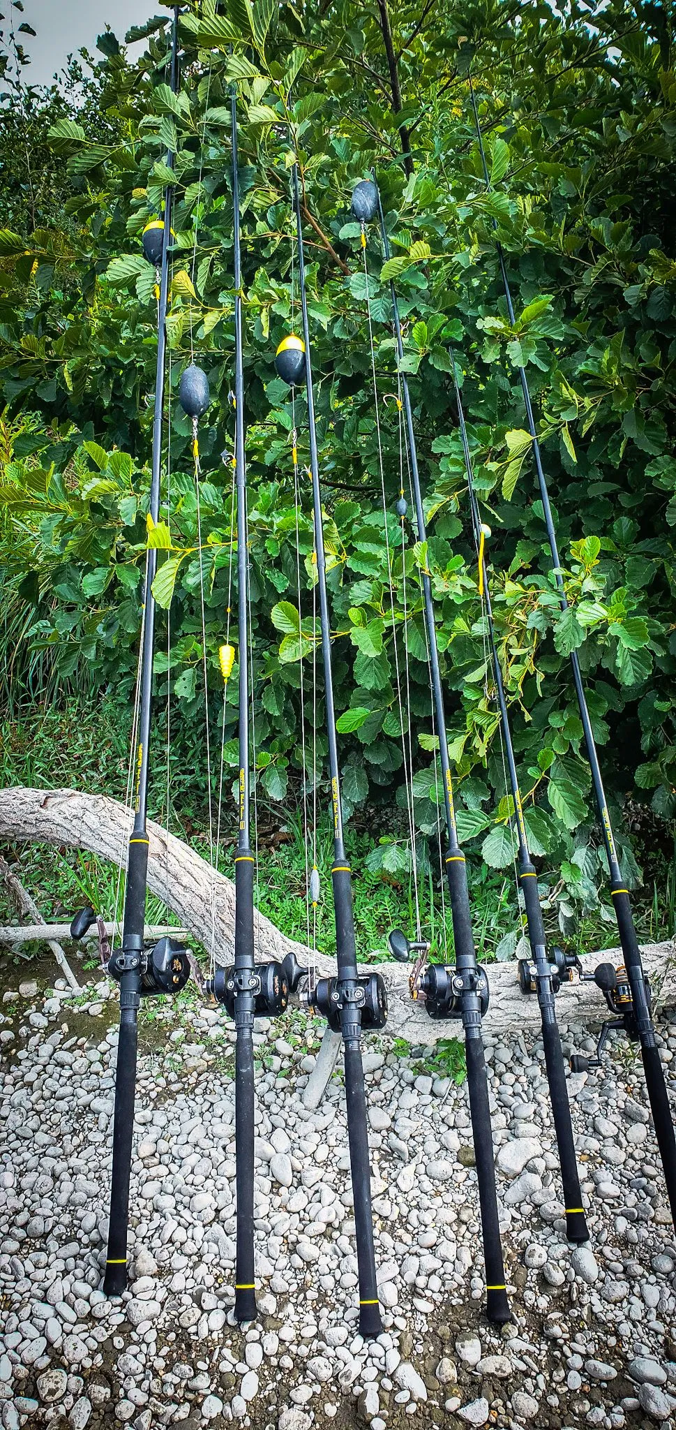 Black Cat Black Passion Spin 2.70m 50-200g 6 Black Cat Black Passion Spin 2.70m 50-200g - Afbeelding 4