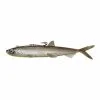 PELAGIC CAT LURE 24CM 110G SINKING SMELT 1PC -HENGELS WINKEL c4gkio6qlorwsbh5tejxiy3jar7qjxqk