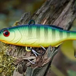 Black Cat BC Vibe Fire Tiger 60g -HENGELS WINKEL fghwm3hznjjtkivm6lkhnej5mpgq7wv4 scaled 2