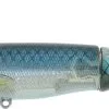 Whopper Plopper 110 Blue Blood -HENGELS WINKEL g5vrreygqfjln4chuajr24nlqjrrp7ju 2
