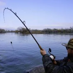 Black Cat Wild Cat'z Beast 3.05m 100-300g 10 Black Cat Wild Cat'z Beast 3.05m 100-300g -HENGELS WINKEL ghsx23tswa6ddv3jsknpsgo6kg76etgn scaled 1