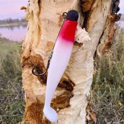 Black Cat Cat Shad Roodhoofd -HENGELS WINKEL grfeiljc7mjqy2qk56npfocakuegymo7 scaled 1