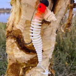 Black Cat Curly Worm Rood/Wit Met Staart -HENGELS WINKEL gvkkk5xm72re74wvcexd2dwgyqslhrww scaled 1