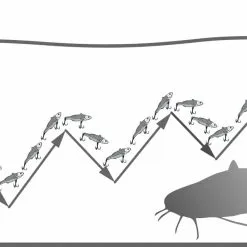 Black Cat BC Vibe Aasvis -HENGELS WINKEL hundm5to2i3n623kpzpqew525lu3joyh 2