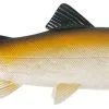 UNI CAT Trout 20cm BT -HENGELS WINKEL ihdzrvygo6q5we65goordt6e63wjmplu