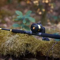 Black Cat Solid Fun Yellow 1.70m 30-180g -HENGELS WINKEL ikmkeathgajjq4iejo55x7troa3w57zl scaled 1