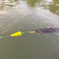 Black Cat U-Float "Tree" Geel -HENGELS WINKEL iuh3hwks3ve4ed6ja6occfvv55ip3e3i