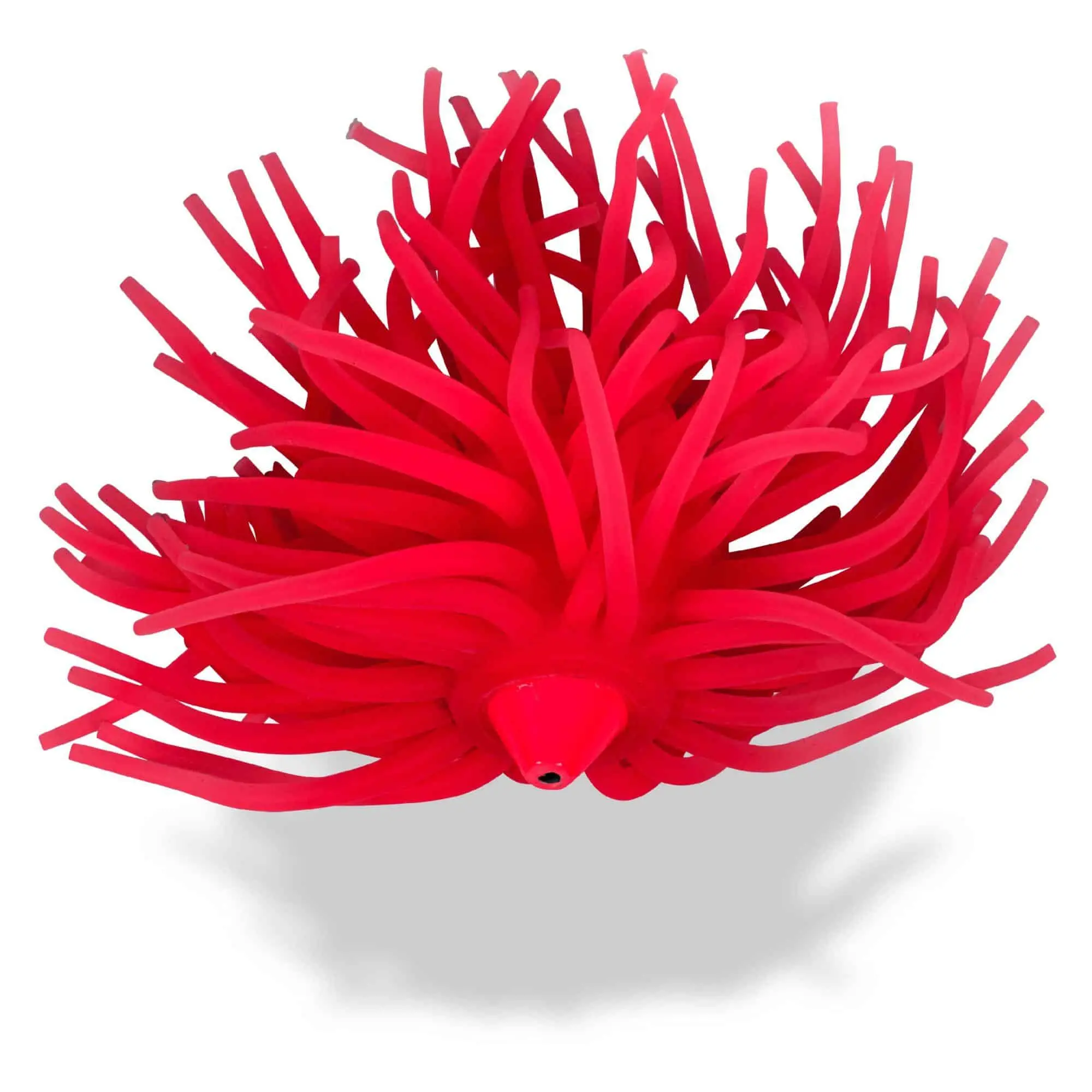 Black Cat Real Worm Teaser Roze 3 Black Cat Real Worm Teaser Roze