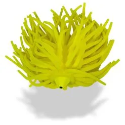 Black Cat Real Worm Teaser Geel -HENGELS WINKEL jvrxhcayjhcnmvmviaiy5yw63hb626uv