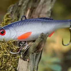 Black Cat BC Vibe Aasvis -HENGELS WINKEL kxymm7o6y3bvbzwaq6sihwk22ljfpwjw scaled 1