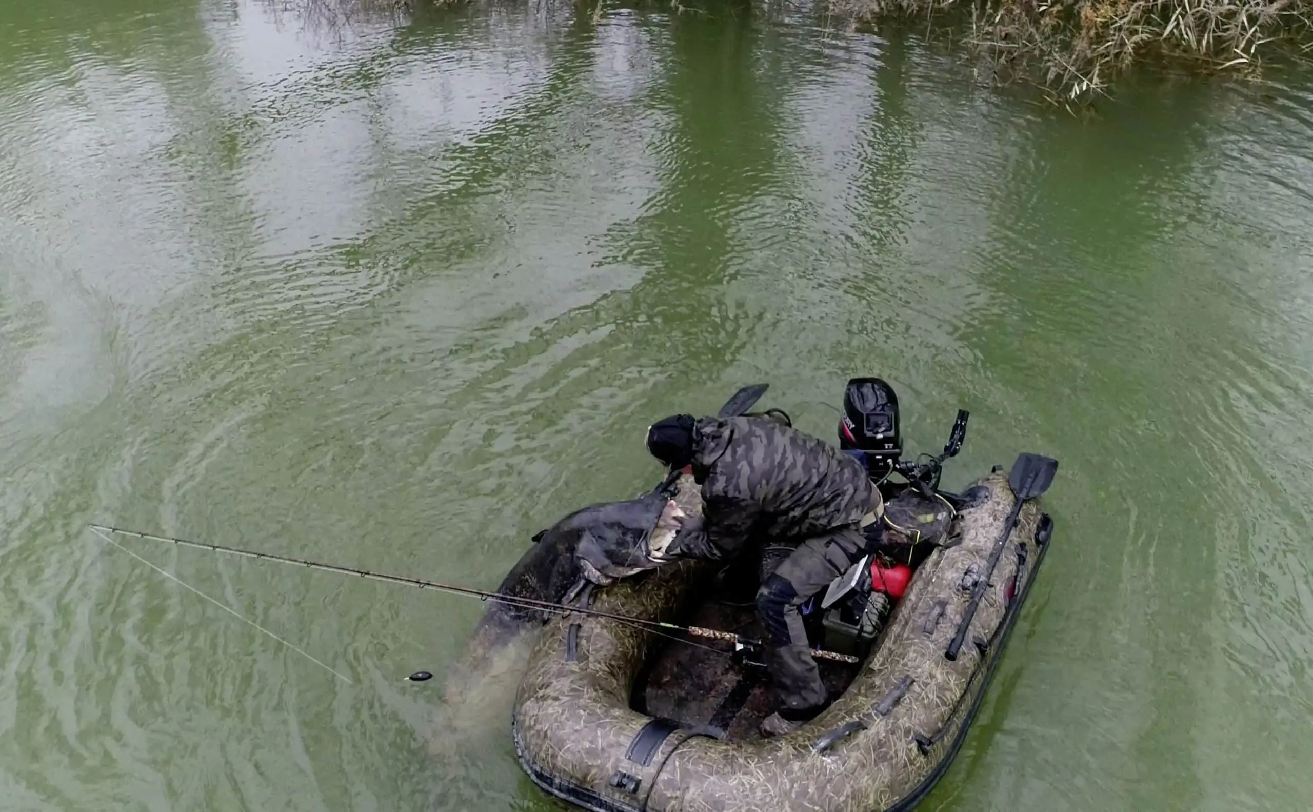 Black Cat Wild Cat'z Beast 3.05m 100-300g 4 Black Cat Wild Cat'z Beast 3.05m 100-300g - Afbeelding 2