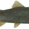UNI CAT Trout 20cm LM 1 UNI CAT Trout 20cm LM -HENGELS WINKEL sbq4nxebuj25gtbkqtz2k6xui4rst62e
