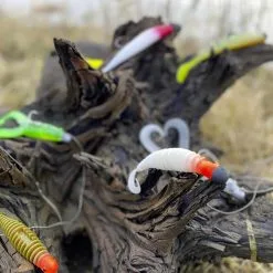 Black Cat Curly Worm Wit/Motor Met Staart -HENGELS WINKEL tlqrpjdyitwgn37l5utjglxk6y275sjk scaled 1