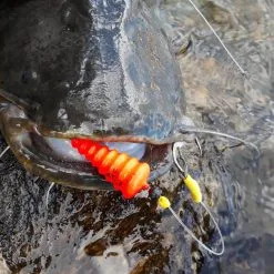 Black Cat U-Float "Tree" Rood -HENGELS WINKEL wroz3byxlma5gynwkujxgjed5vkkf7qs