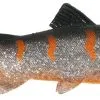 UNI CAT Trout 20cm BOT -HENGELS WINKEL ydg3axt7oze6fpna5yjtbtge24b3pccd