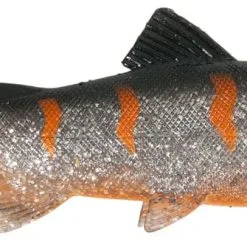 UNI CAT Trout 20cm BOT